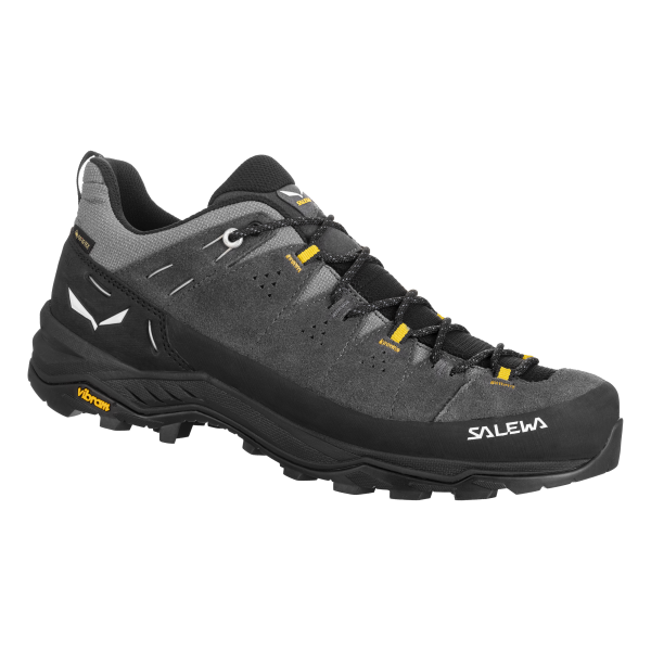 SALEWA ALP TRAINER 2 GTX M