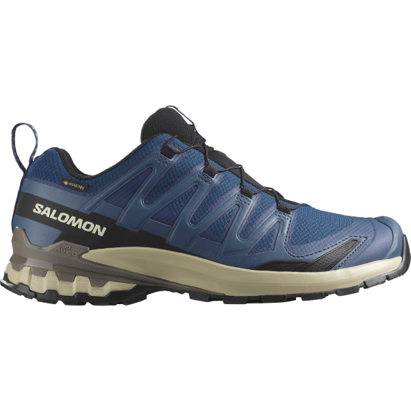 SALOMON XA PRO 3D V9 GORE-TEX
