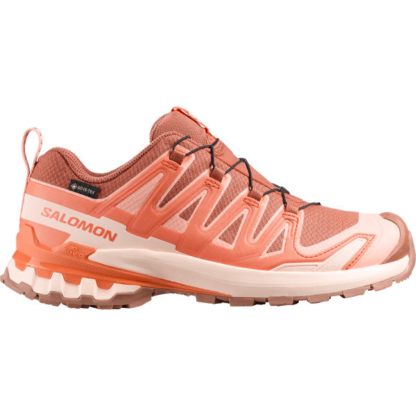 SALOMON SHOES XA PRO 3D V9 GTX W Pecanb/Nectrn/A