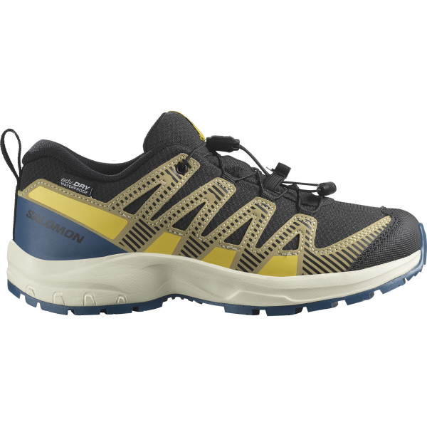 SALOMON AG XA PRO V8 WATERPROOF